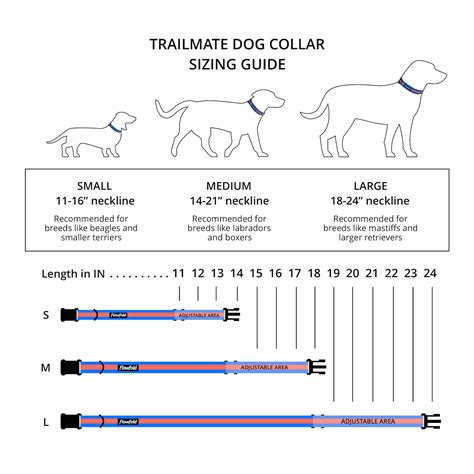 coach dog collar size chart